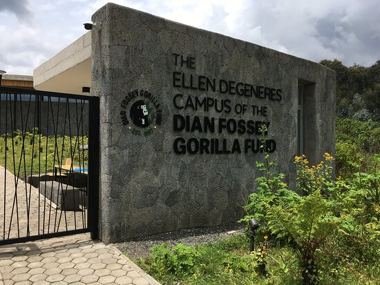 Ellen DeGeneres Campus of Dian Fossey Fund