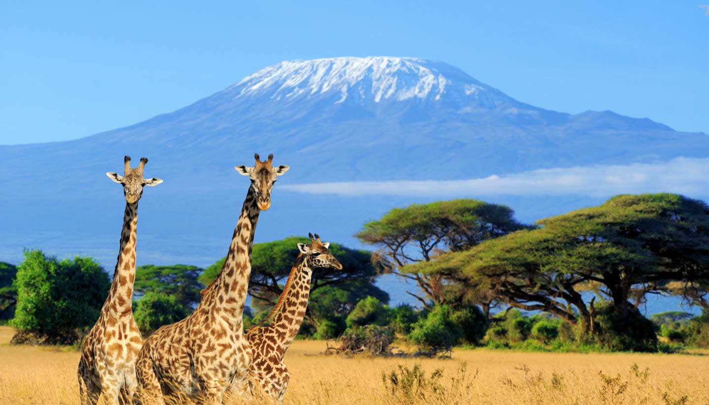 4-Day Amboseli & Nairobi Safari