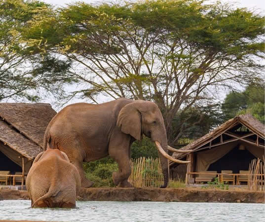 10-Day Kenya Classic Safari
