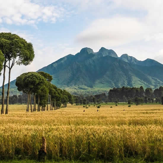 Volcanoes National Park