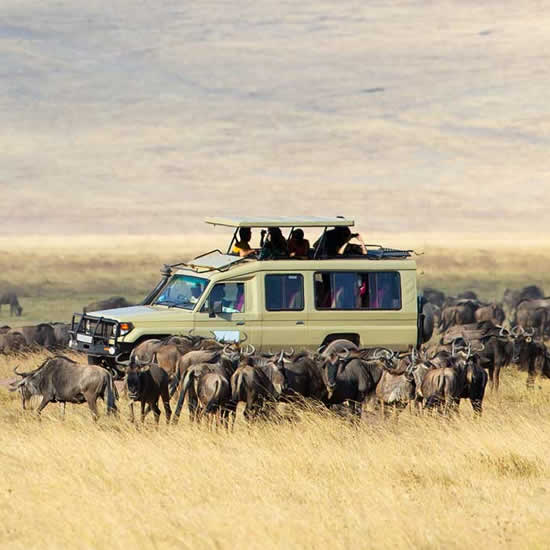Serengeti National Park