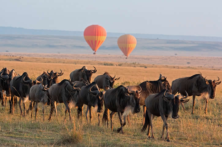 10-Day Northern Tanzania Safari