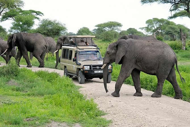 14-Day Ultimate Tanzania Safari