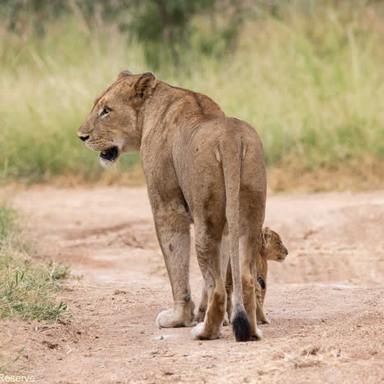 Queen Elizabeth National Park